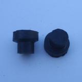 TapÃ³n de FlautÃ­n